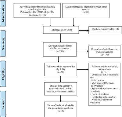 Neurorehabilitation with vagus nerve stimulation: a systematic review